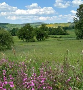Illustration Le fil du Soi dans le Morvan
